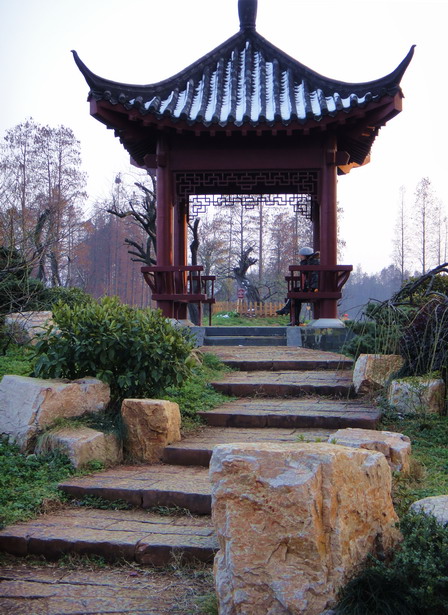 dsc03330.jpg