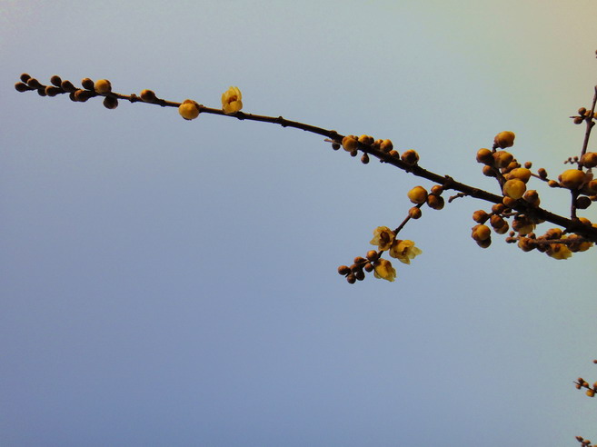 dsc03315.jpg