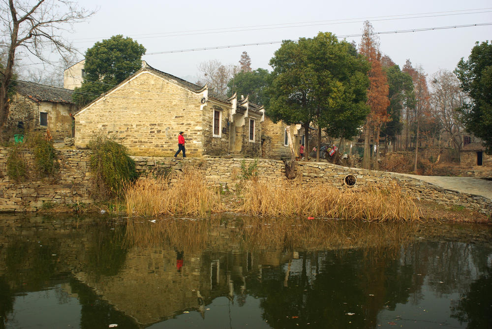 imgp8550.jpg