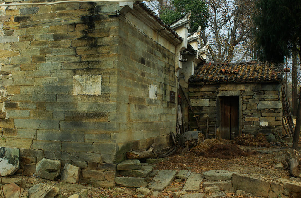 imgp8555.jpg