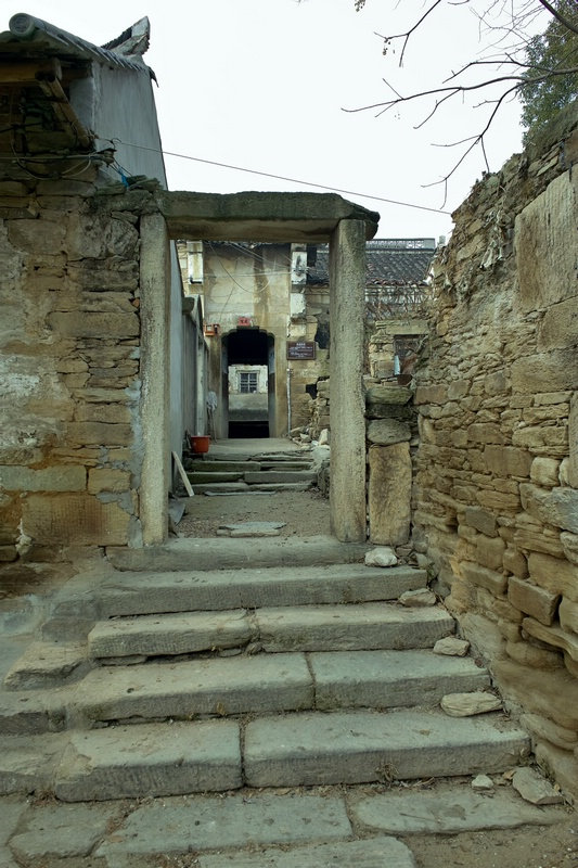 sdim1474.jpg