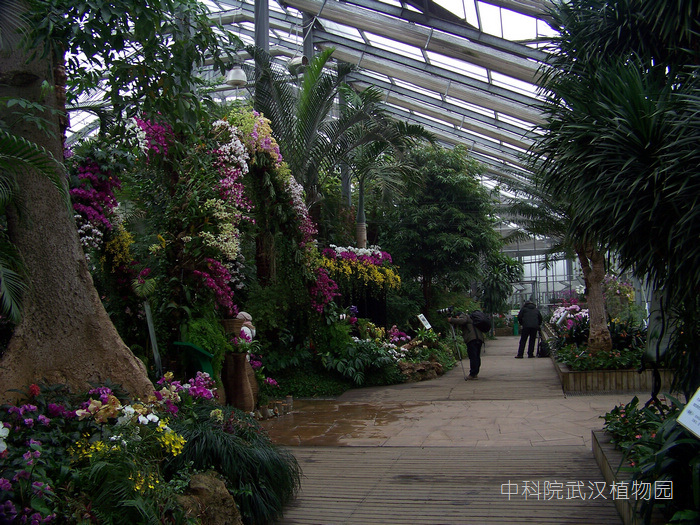 20120121p人ֲ԰ (27)ֲ԰.jpg