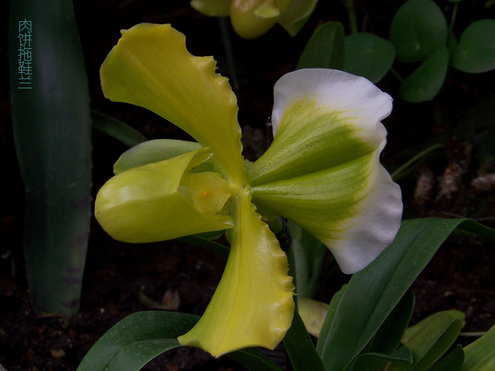 20120101人ֲ԰չ (14).jpg