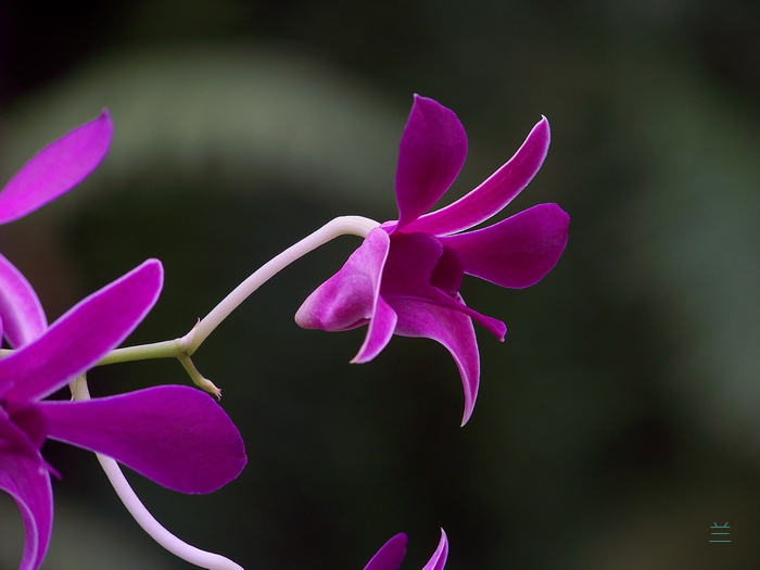 20120121d人ֲ԰չ (18).jpg