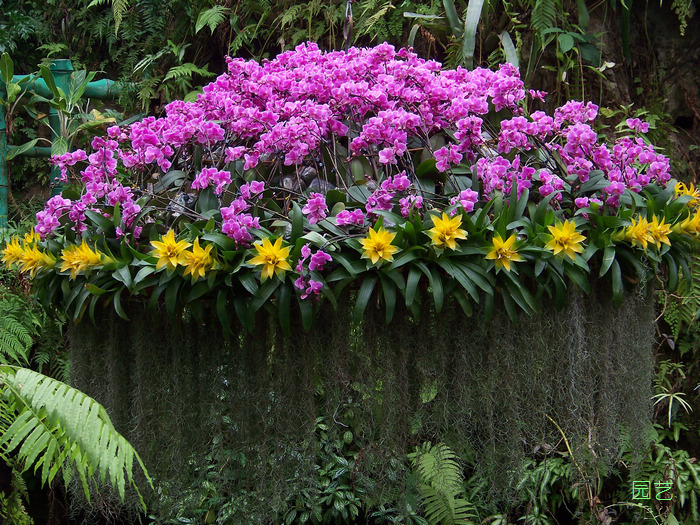 20120121m人ֲ԰չ (15).jpg