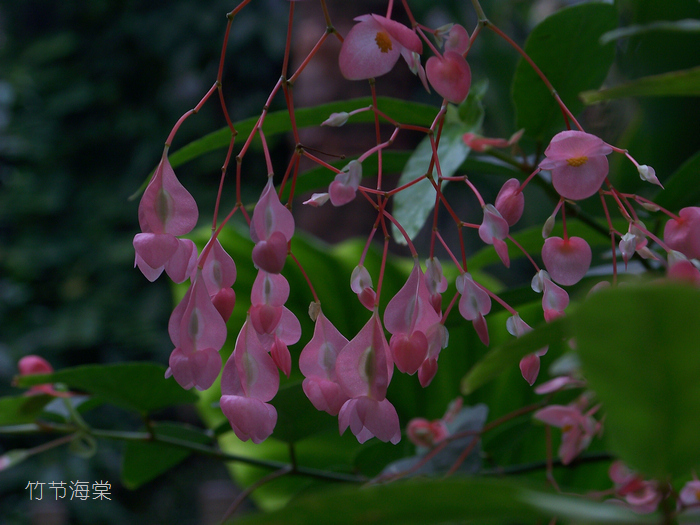 20120121q人ֲ԰-ں (16)ں.jpg