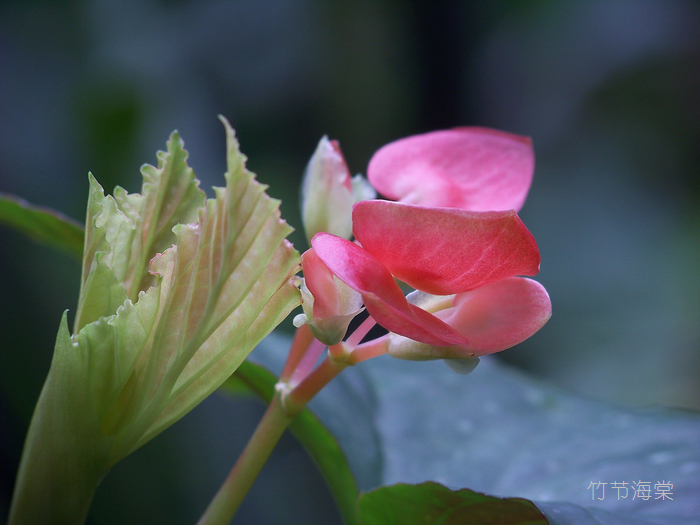 20120121q人ֲ԰-ں (16).jpg