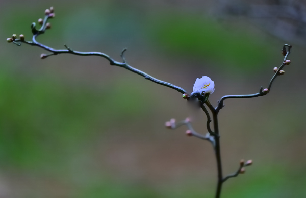 _dsc9857.jpg