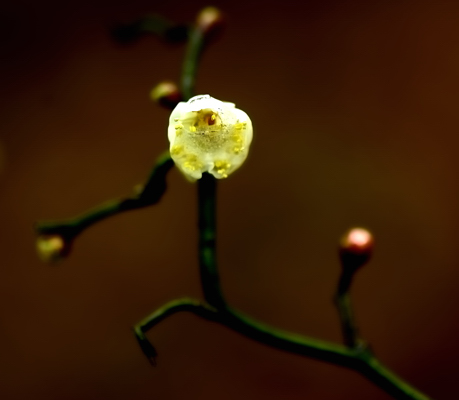 _dsc9853.jpg
