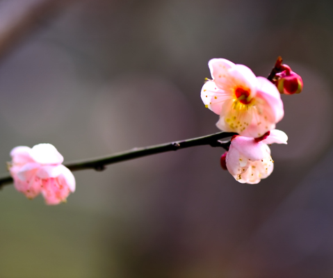 _dsc9864.jpg
