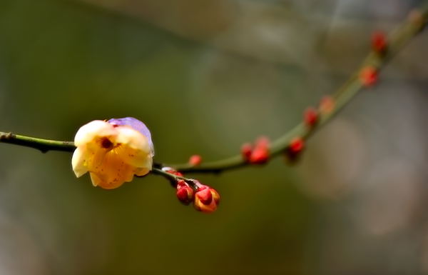 _dsc9868.jpg