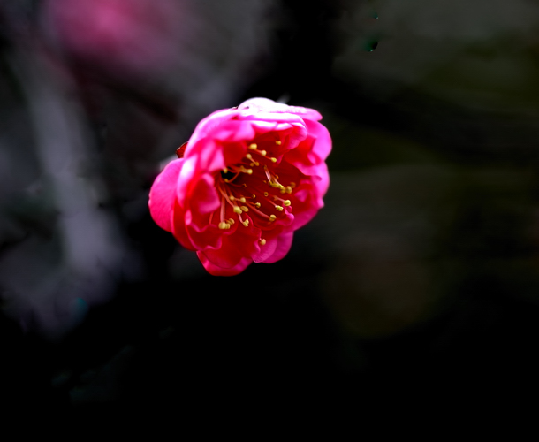 _dsc9875.jpg