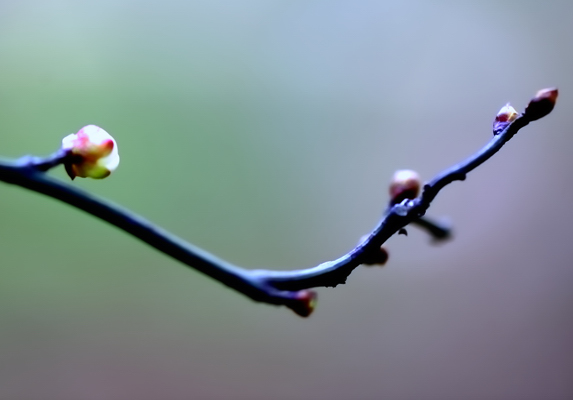 _dsc9855.jpg