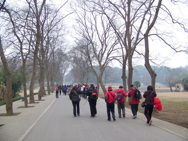 100_6398.jpg