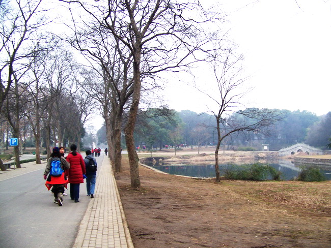 100_6401.jpg