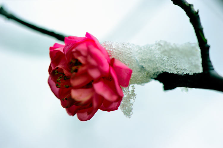 _dsc9894.jpg