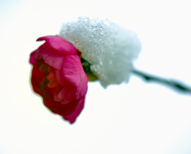 _dsc9896.jpg
