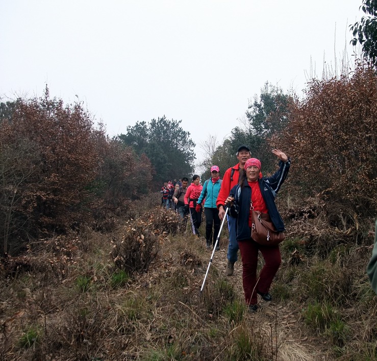 dscf9553.jpg