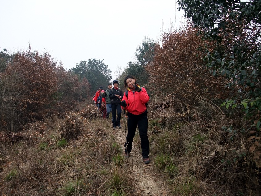 dscf9550.jpg