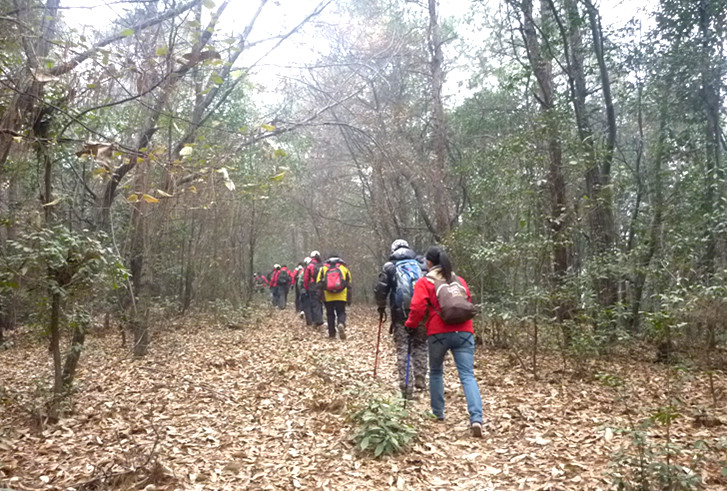 p1100546_.jpg