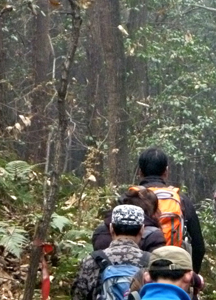 p1100550_.jpg