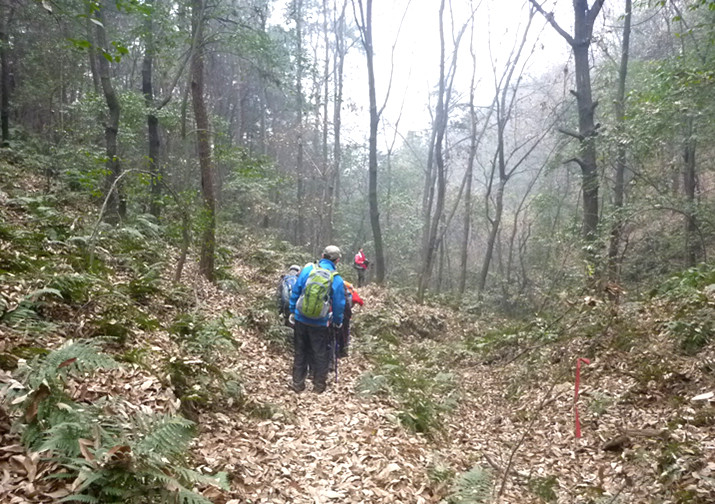 p1100549_.jpg