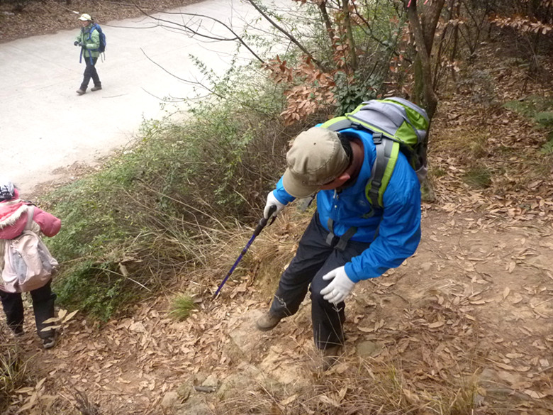 p1100555_.jpg