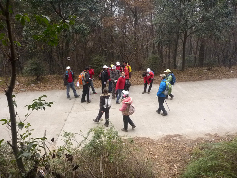 p1100556_.jpg