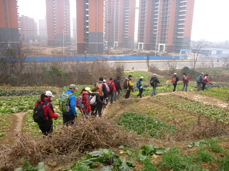 p1100561_.jpg