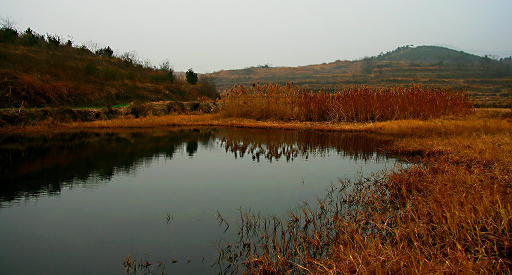  115.jpg
