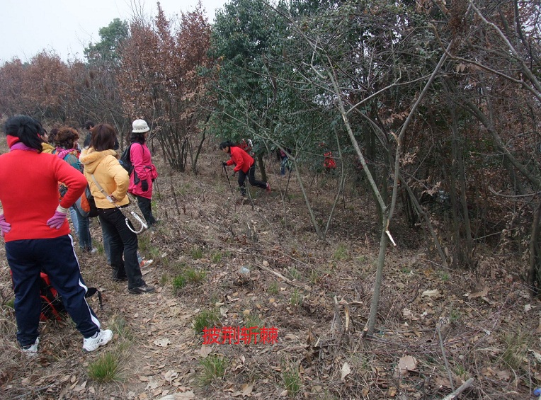 dscf5804.jpg