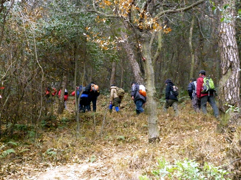 p1020627.jpg