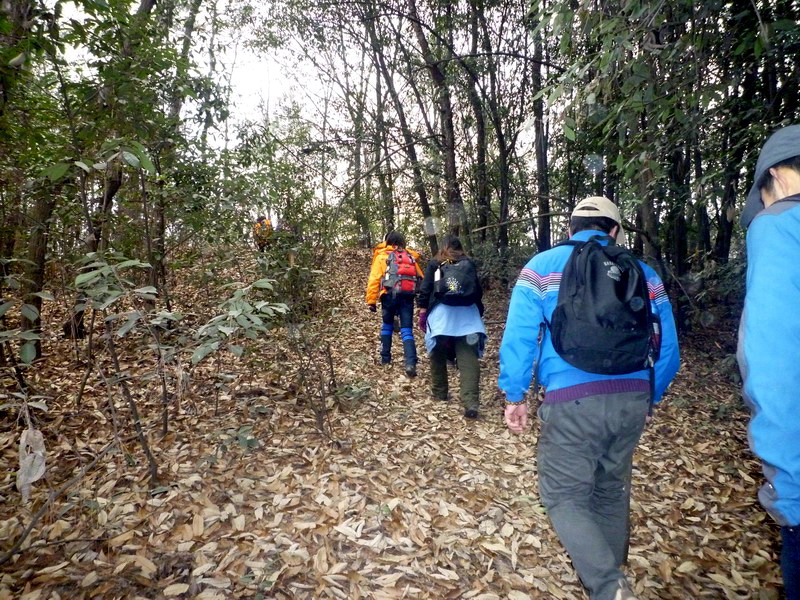 p1020631.jpg
