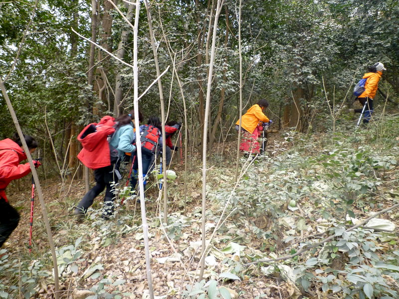p1020636.jpg
