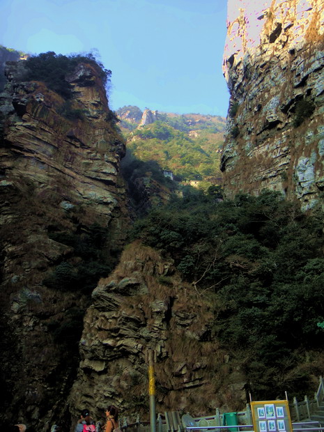 dsc01494.jpg