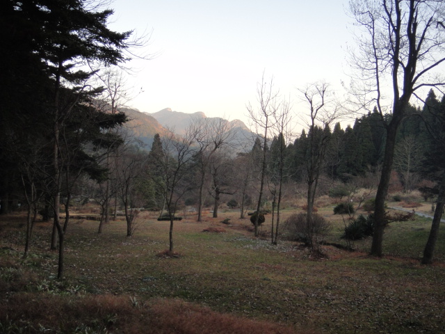 dsc03017.jpg