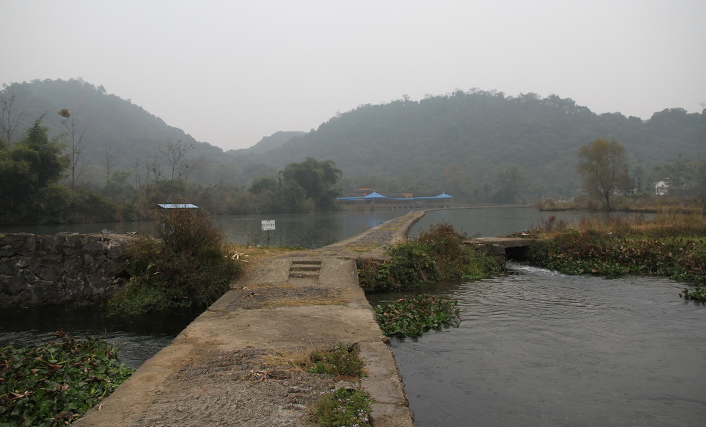 z91.jpg