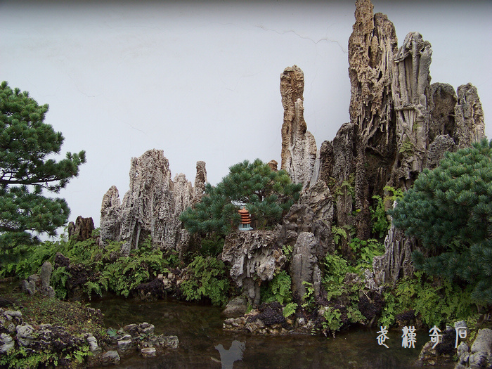 20120103b人ʯ-ʯĻ (13).jpg