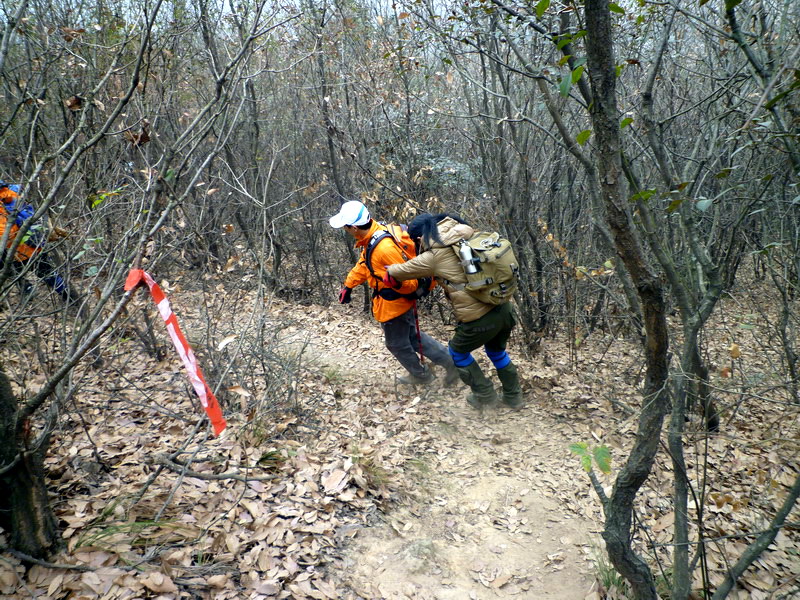 p1020680.jpg