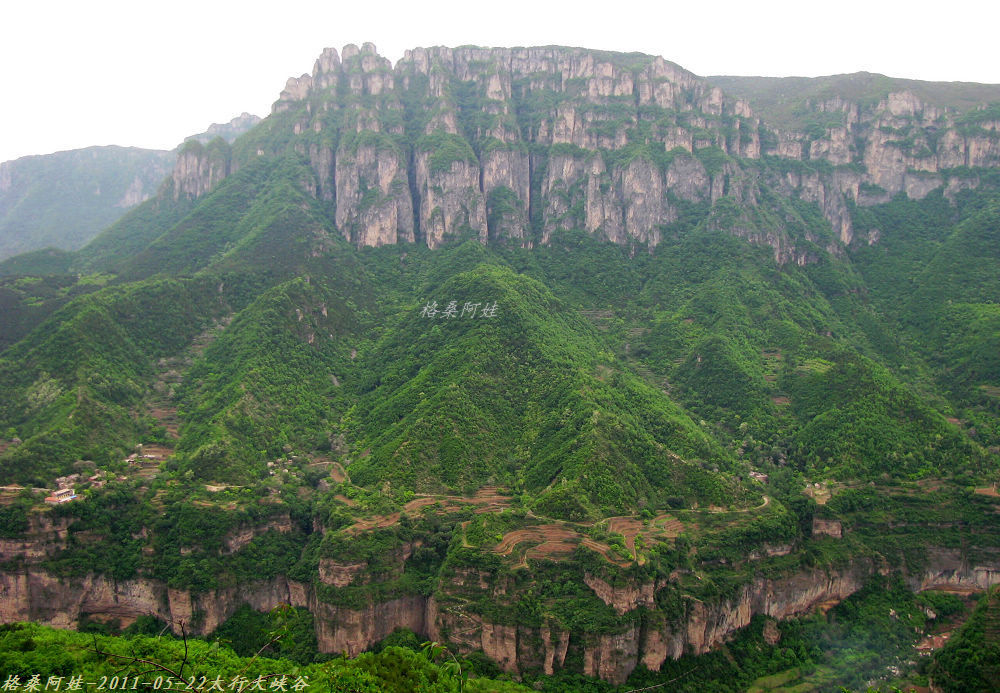 ��ɣ���� 113-1167.jpg