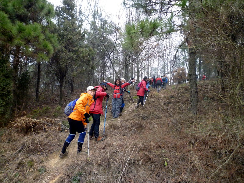 p1020697.jpg