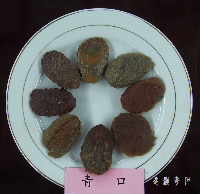 20120103m人ʯ-ȫϯ (18).jpg