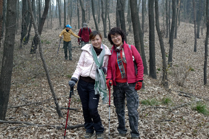 p1060419.jpg