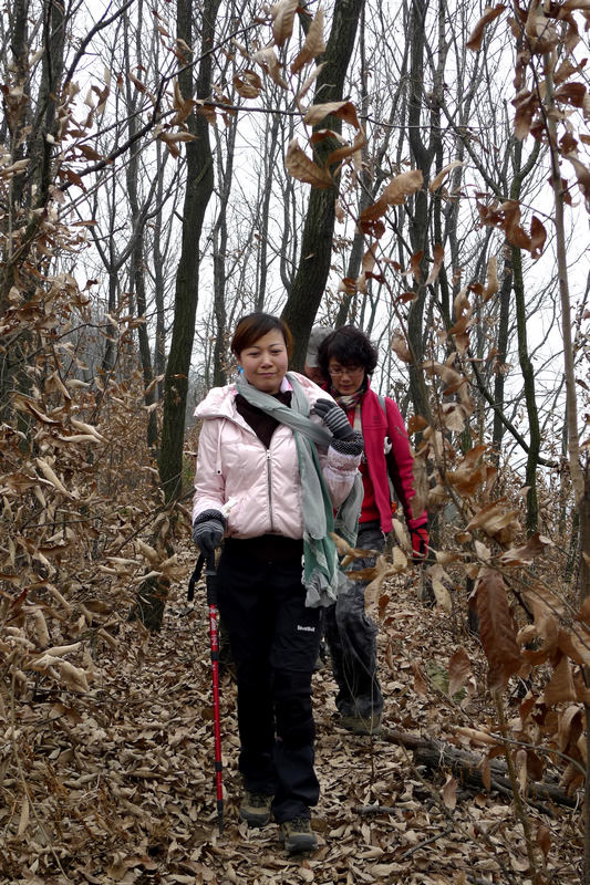 p1060420.jpg