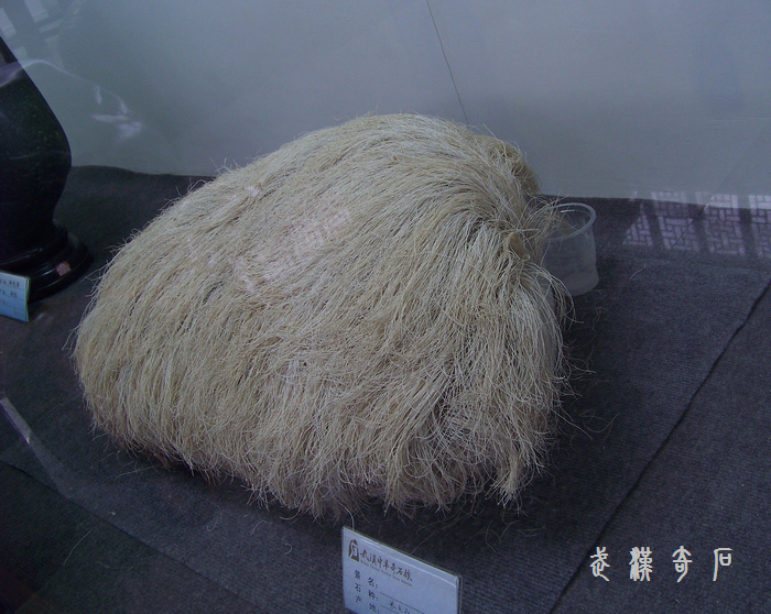 20120103s人ʯ-ʡ (11).jpg