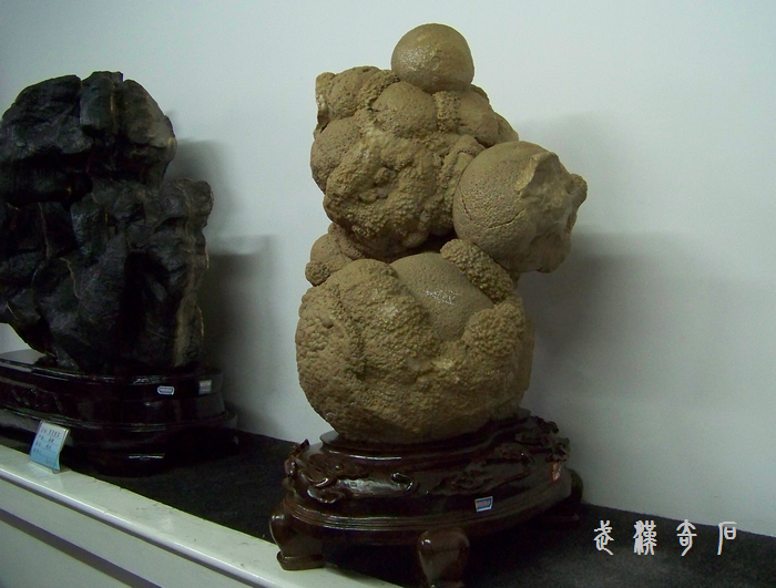 2012��0103s�人��ʯ��-���ʡ�������� (14).jpg