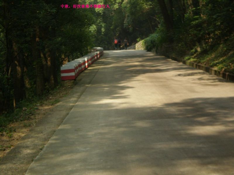 p9300011.jpg