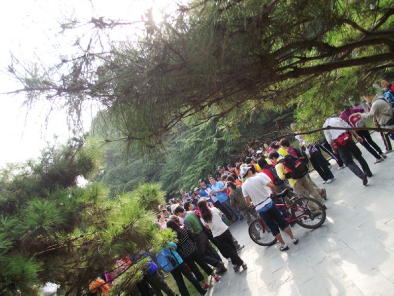 dscf5144.jpg