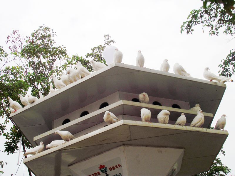 dscf5192.jpg
