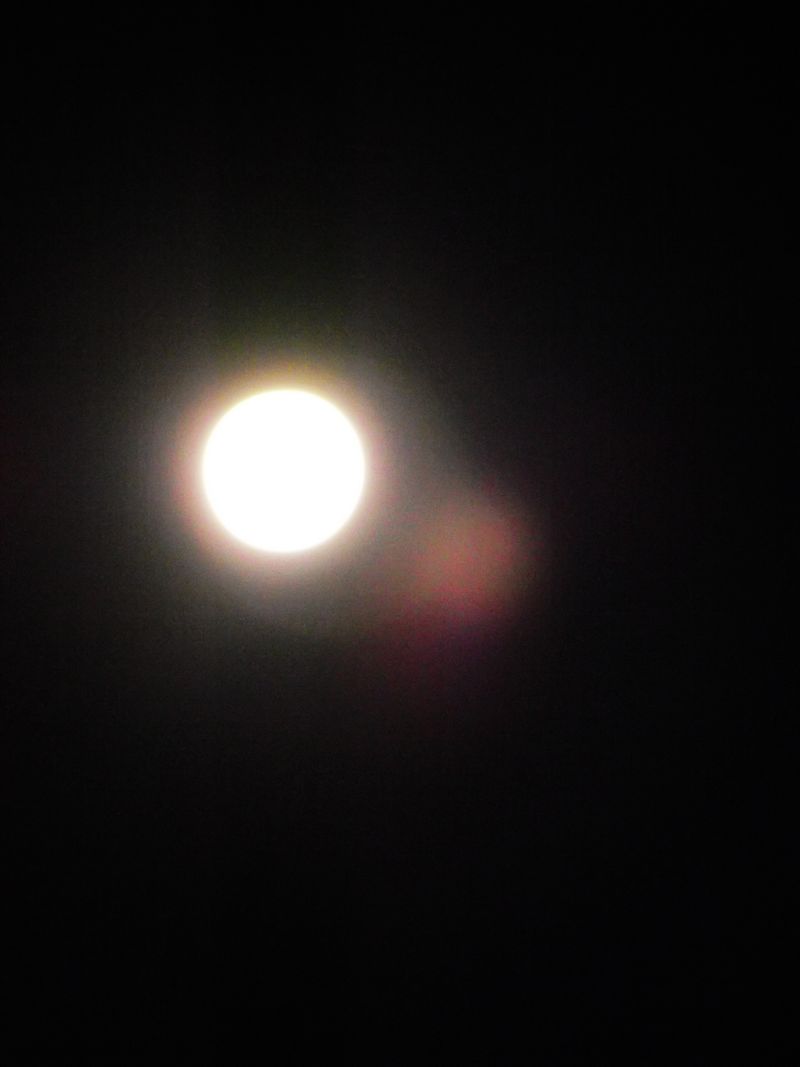 dscf5035kk.jpg
